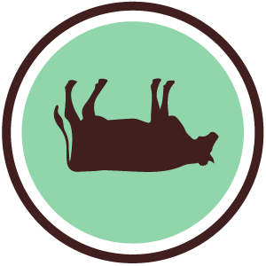 Tip the Cow Mint - Milk Stout