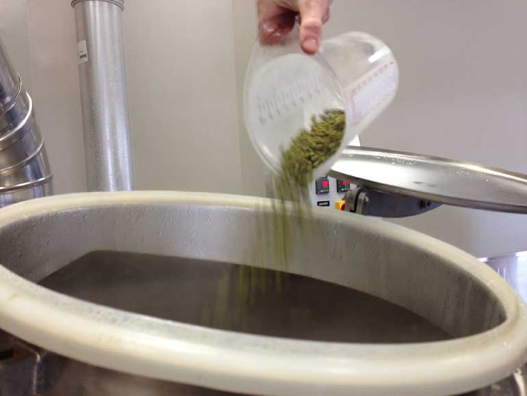 Hops being poured into brew kettle